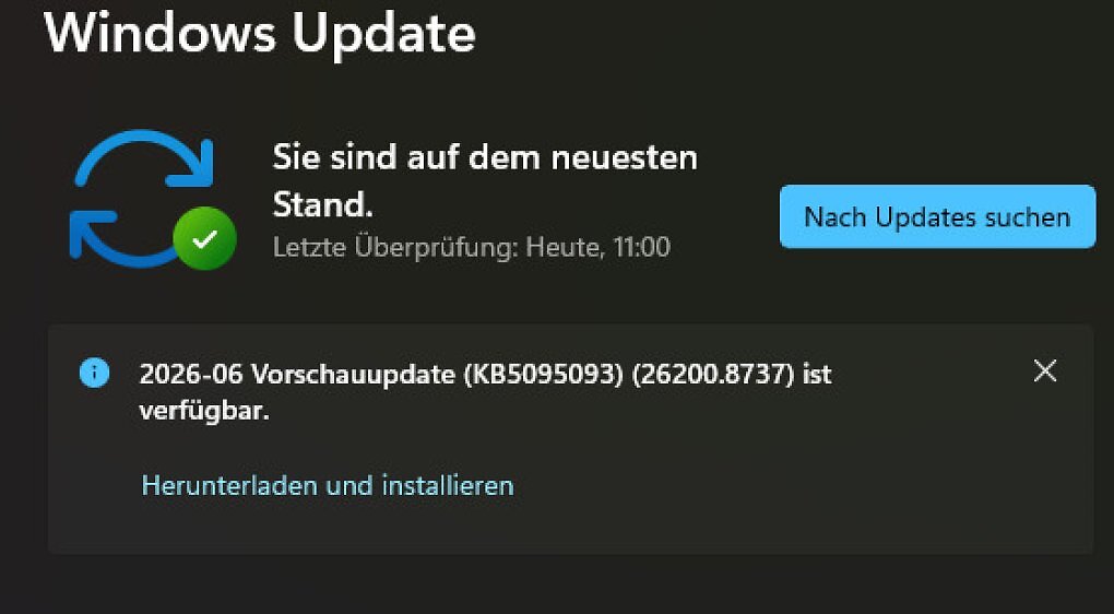 Bei dem Update KB50905093 handelt es sich um einen optionalen Download.