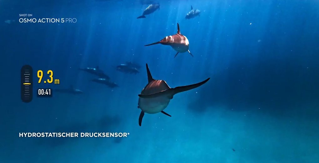 Unterwasser Aufnahme DJI Action Cam Wasserdicht