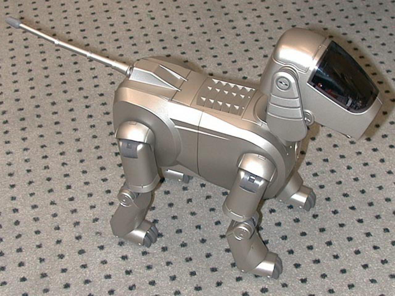 [02/10/2003] Der aktuelle AIBO kann lernen, wie er auf Anweisungen zu reagieren hat  er kann sogar mit WLAN und einer Kamera ausgerüstet werden.