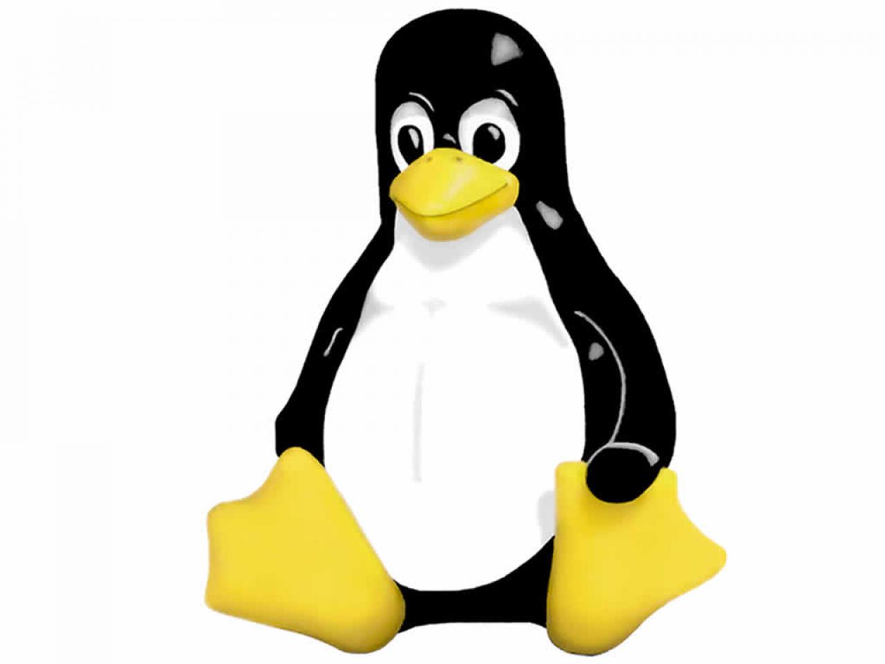 [12/11/2004] 