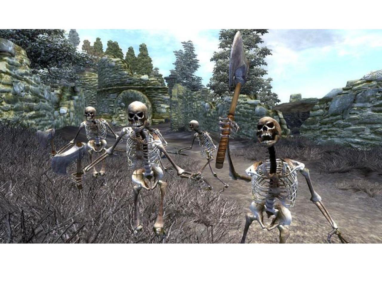 [19/12/2005] The Elder Scrolls IV: Oblivion setzte schließlich neue Maßstäbe bei der Grafik und wurde daher auch von mir gespielt, zumal ich kein großer Rollenspiel-Fan bin. (Daniel Waadt)