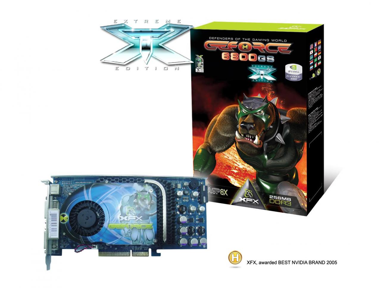Leadtek Nvidia GeForce 6800 LE 128MB DVI VGA TV-Out AGP Card WinFast