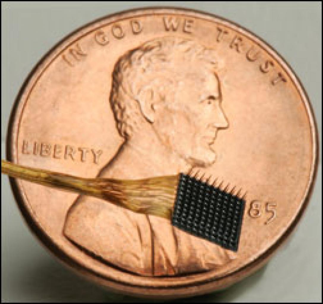 [13/07/2006] Das Chip-Implentat ist ca. 4x4 Milimeter groß
