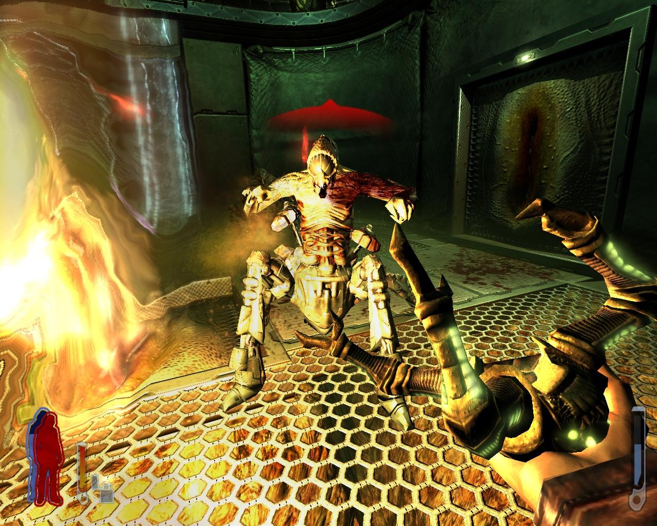 [19/07/2006] Prey