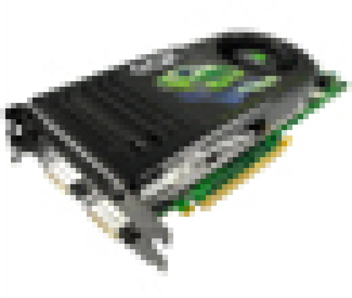 [30/12/2006] 