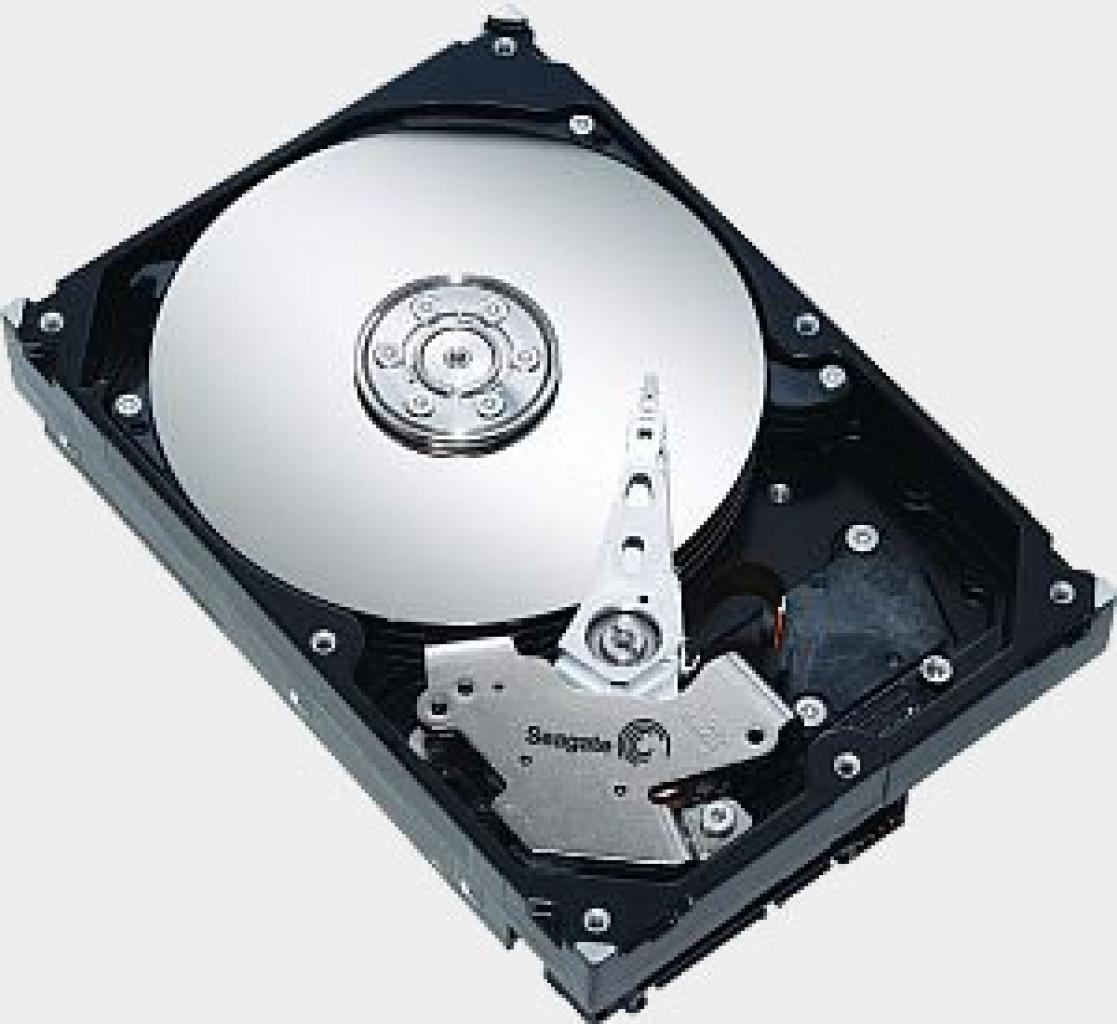 [03/03/2007] Seit Jahren schon setzt Seagate auf die Namen Cheetah und Barracuda für seine Festplattenserien. Während ersterer noch einleuchtet, möchte ich einem gefräßigen Barracuda nur ungerne meine Daten anvertrauen. Klingt einfach nicht sehr vertrauensvoll.