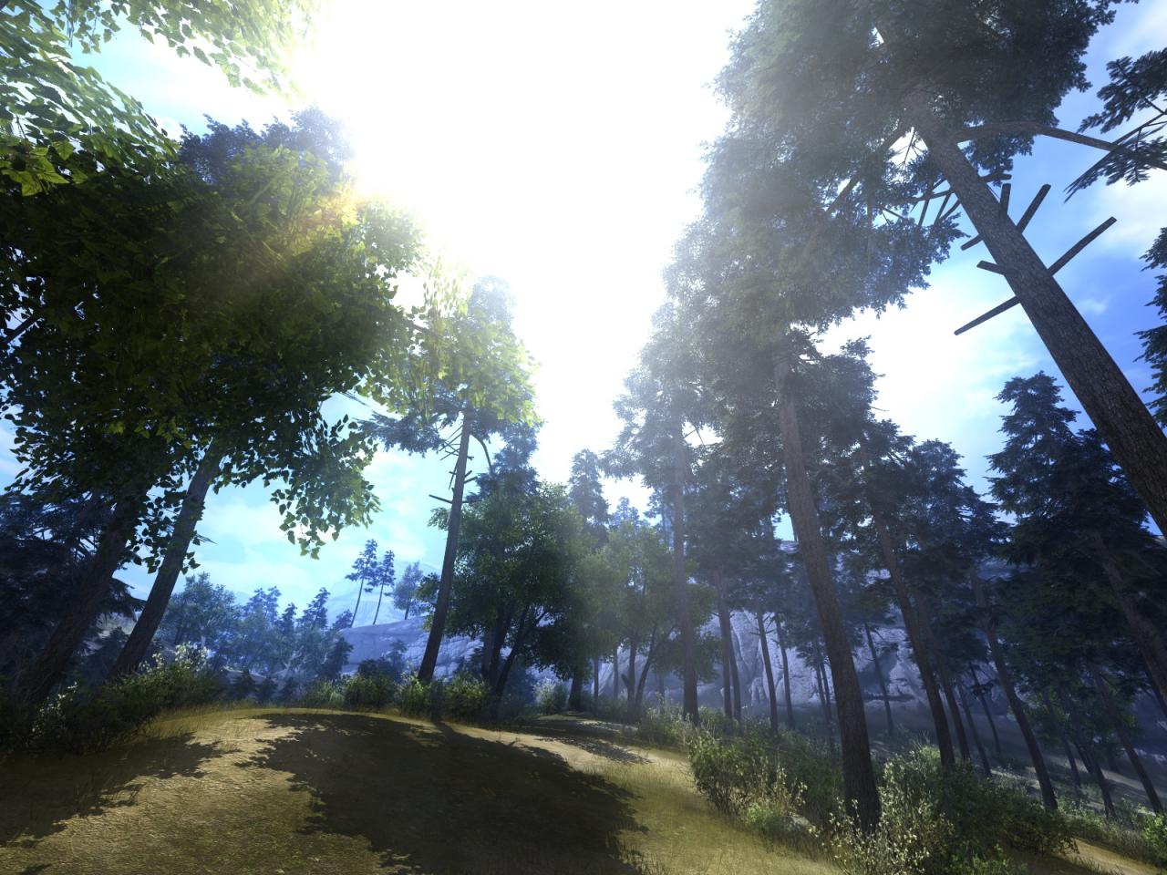 [27/05/2007] Call of Juarez (Bild: PCGH)