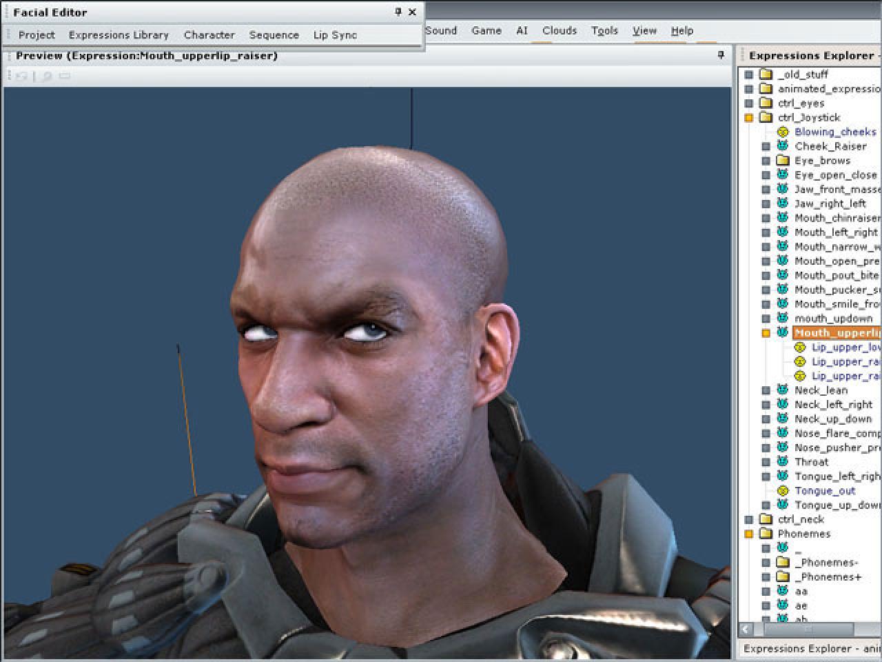 [29/05/2007] Facial Animation Editor