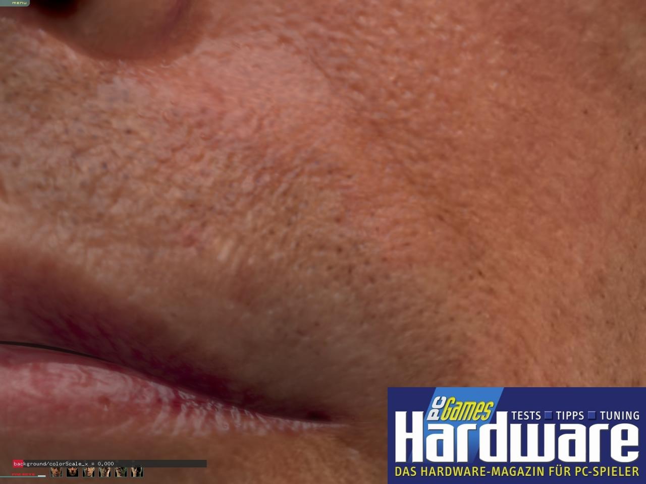 [09/05/2007] Nvida Human-Head-Demo (Bild: PCGH)