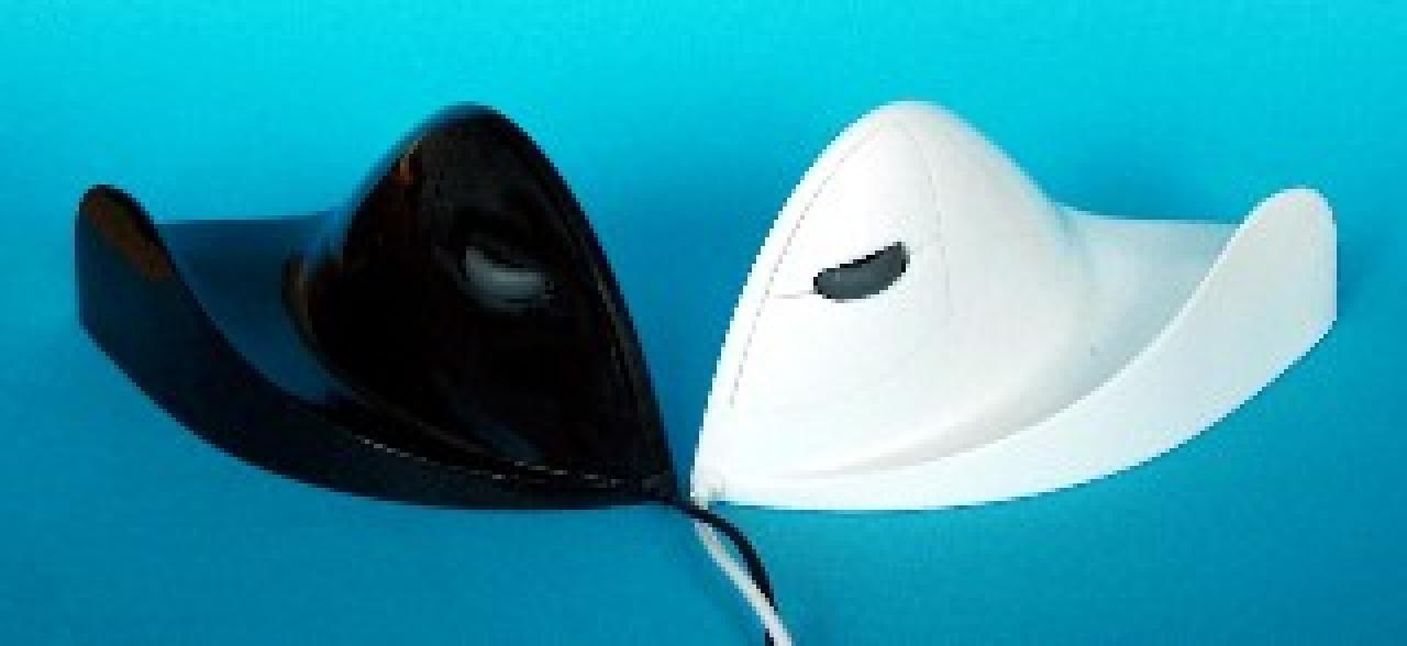 [29/06/2007] Modell der Firma Designer Appliances: Bestenfalls rudimentäre Ähnlichkeit. (Quelle: aerobicmouse.com)