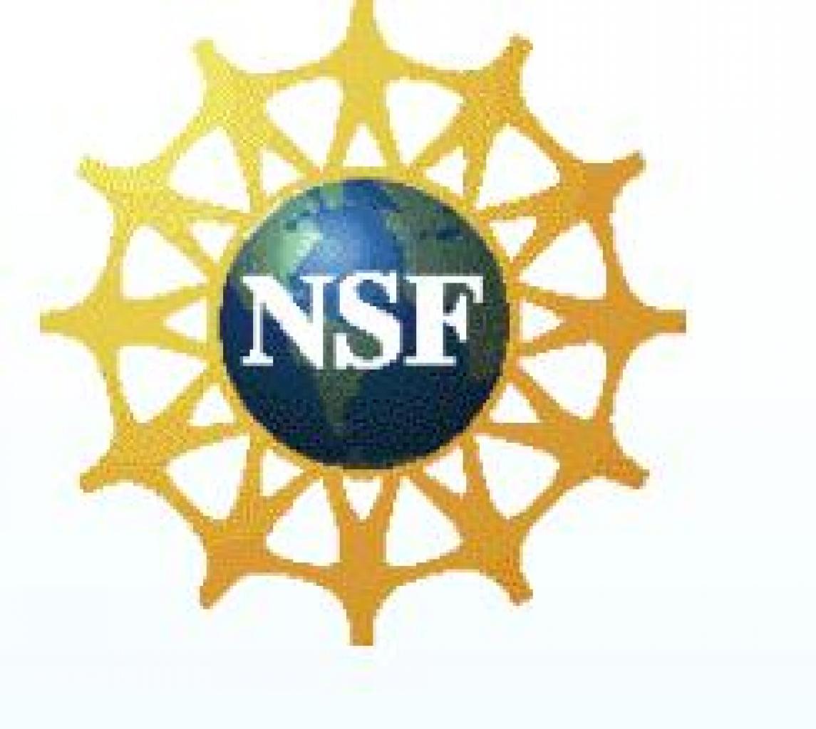 [19/06/2007] NSF: Logo der National Science Foundation. (Bild: NSF)