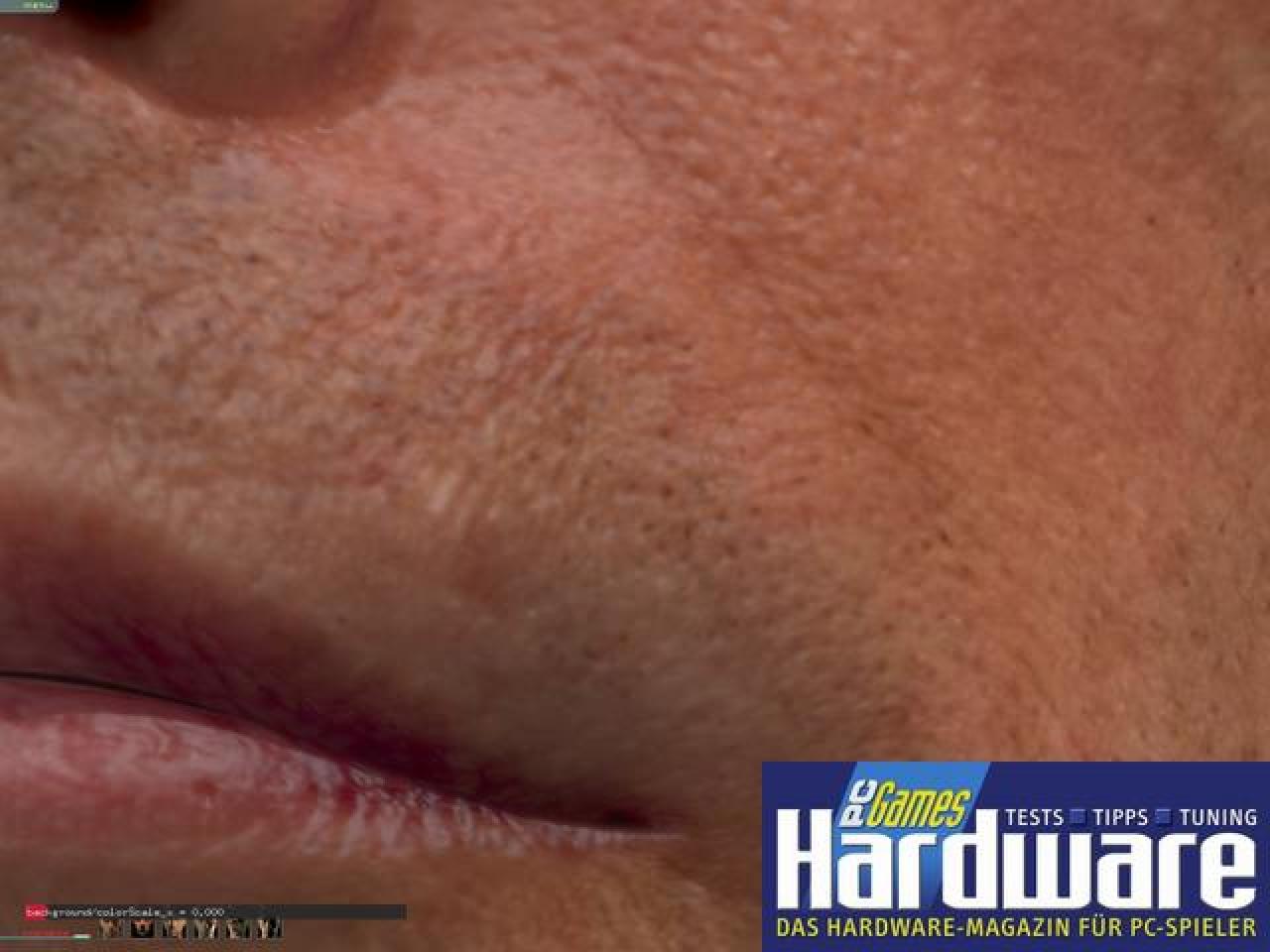 [25/06/2007] Nvidia Human-Head-Demo (Bild: PCGH)
