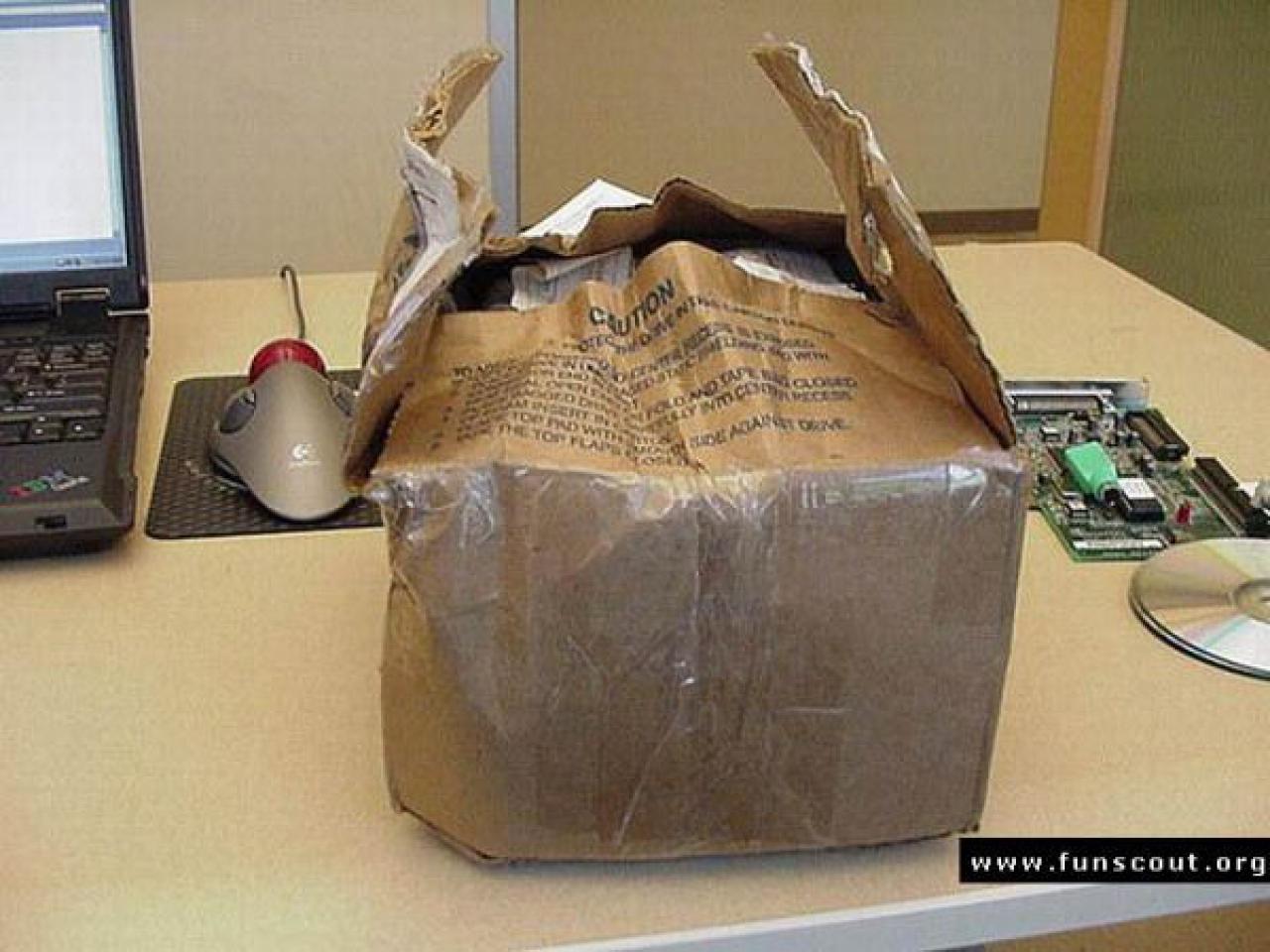 [16/07/2007] Das Grauen beginnt mit einer zerstörten Verpackung