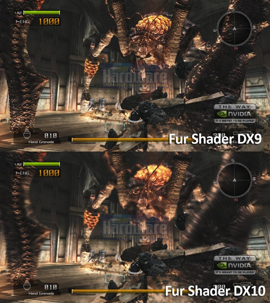 [31/08/2007] Nach dem Patch: Deutliche Unterschiede dank Fur Shading