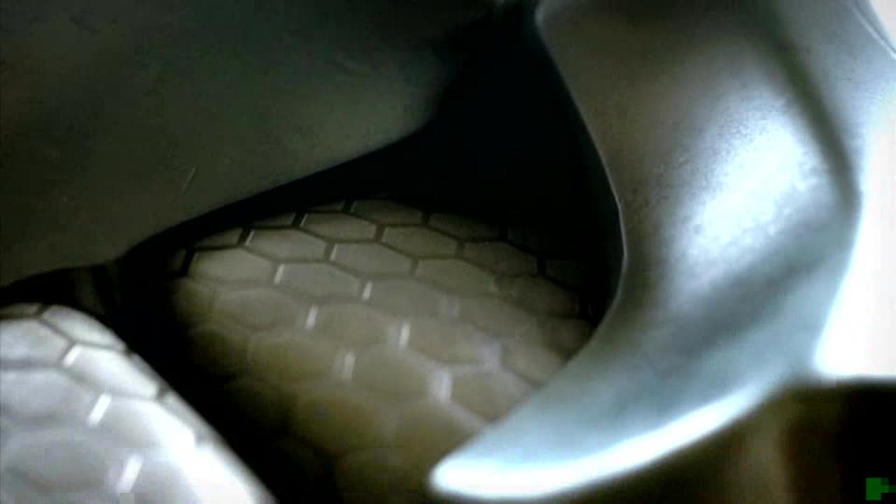 [25/08/2007] 