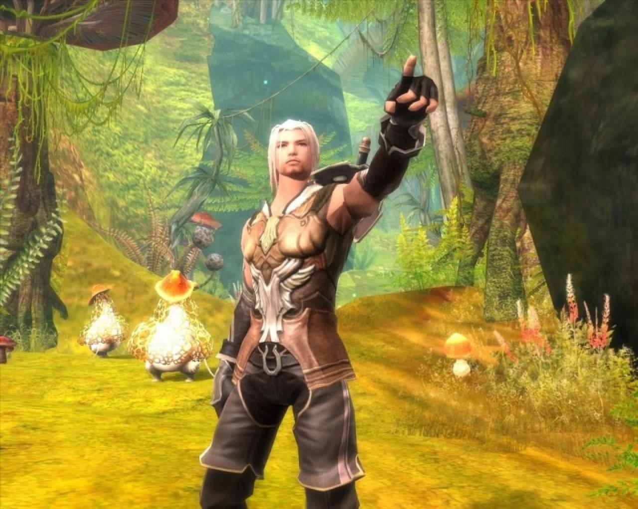 [30/11/2007] Aion: Tower of Eternity (33)