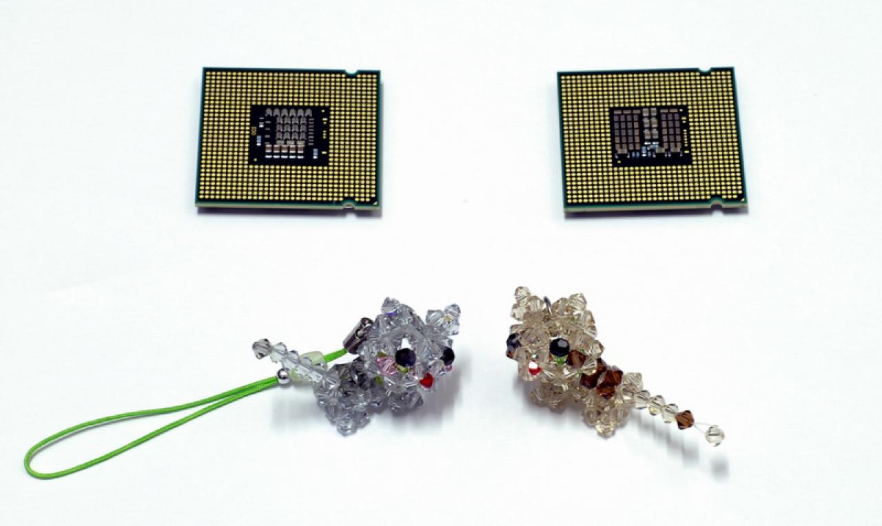[12/11/2007] Bild: Windwithme/Madshrimps.be