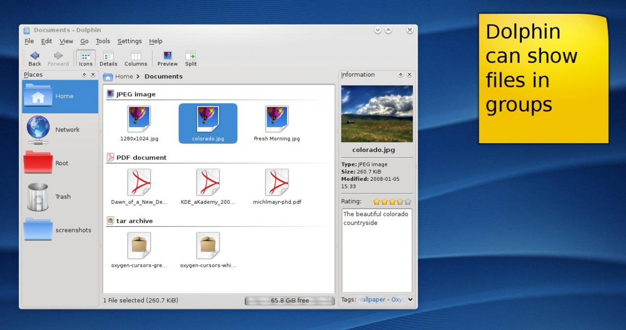 [12/01/2008] Der Dolphin-Dateimanager hilft Ihnen beim Kopieren von Dateien und kann diese als Gruppen anzeigen. (Bild: KDE.org)
