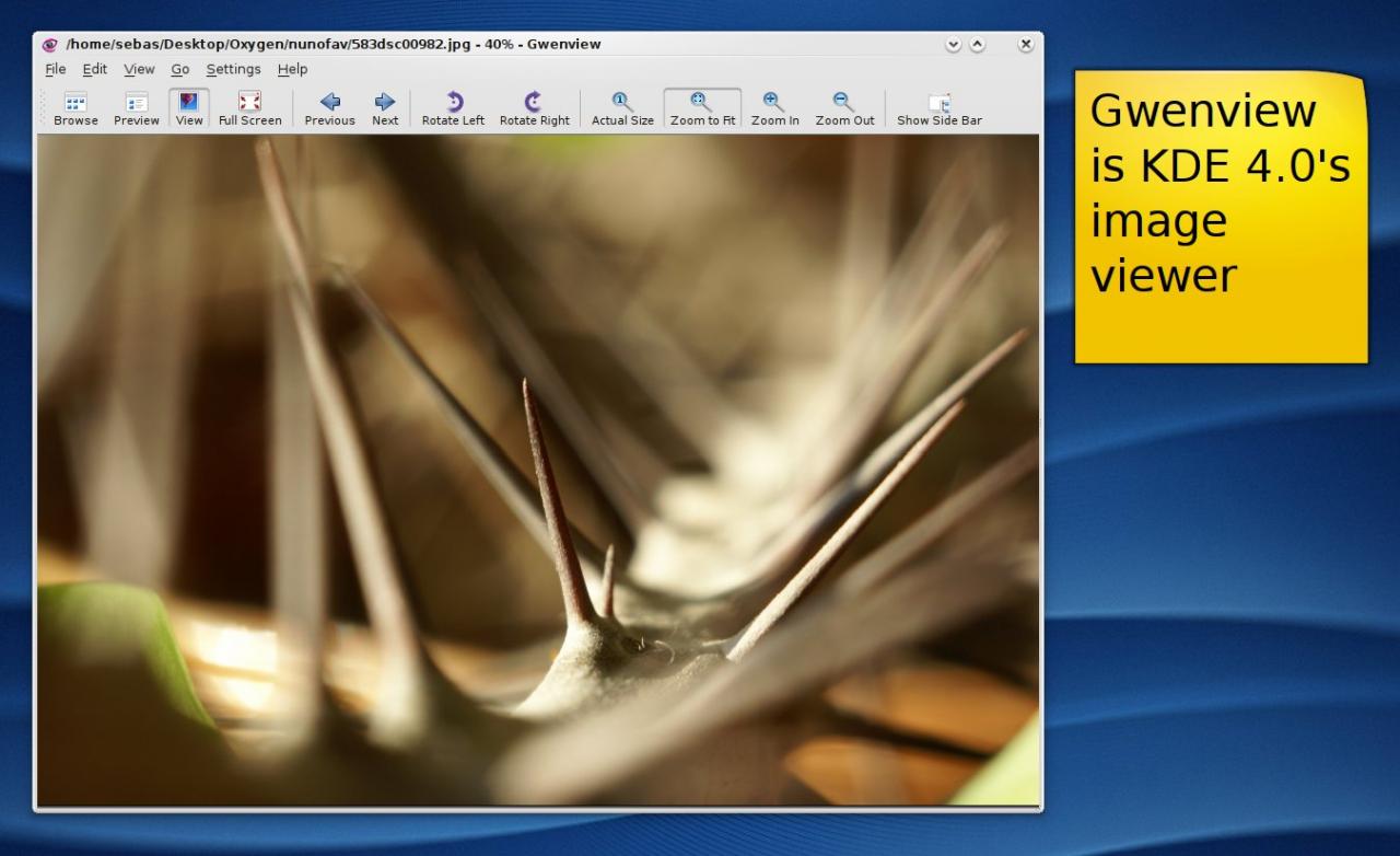 [12/01/2008] Über das Tool Gwenview schauen Sie sich ihre Fotos und Bilder an. (Bild: KDE.org)