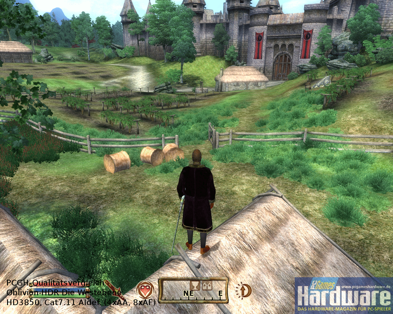 [29/01/2008] TES4 Oblivion: Bildqualität im Vergleich: Die hier gezeigte GF8800GTX produziert ein identisches Bild zur Geforce 8800 GTS 512 (Bild:PCGH)