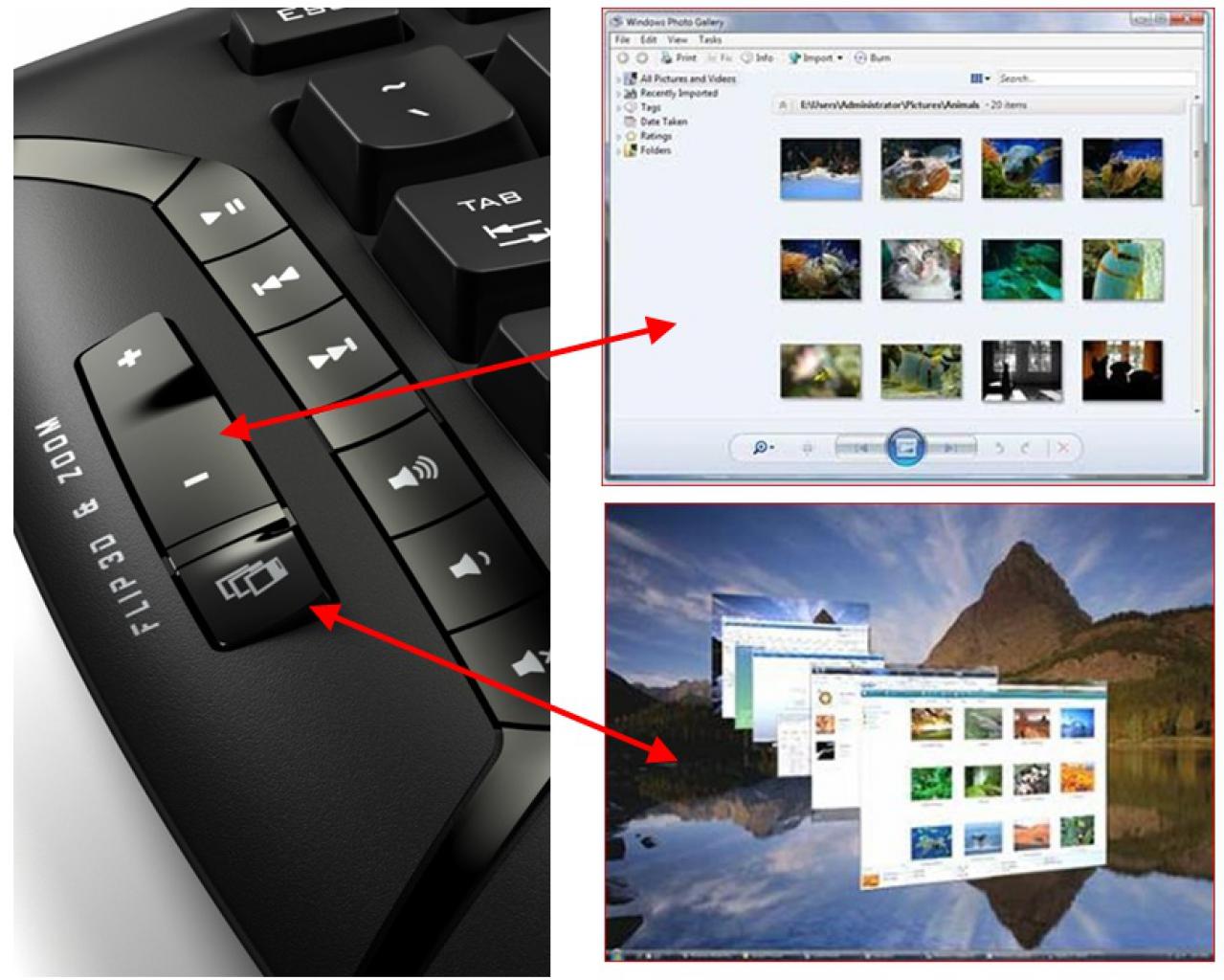 [10/01/2008] Logitech MX5500