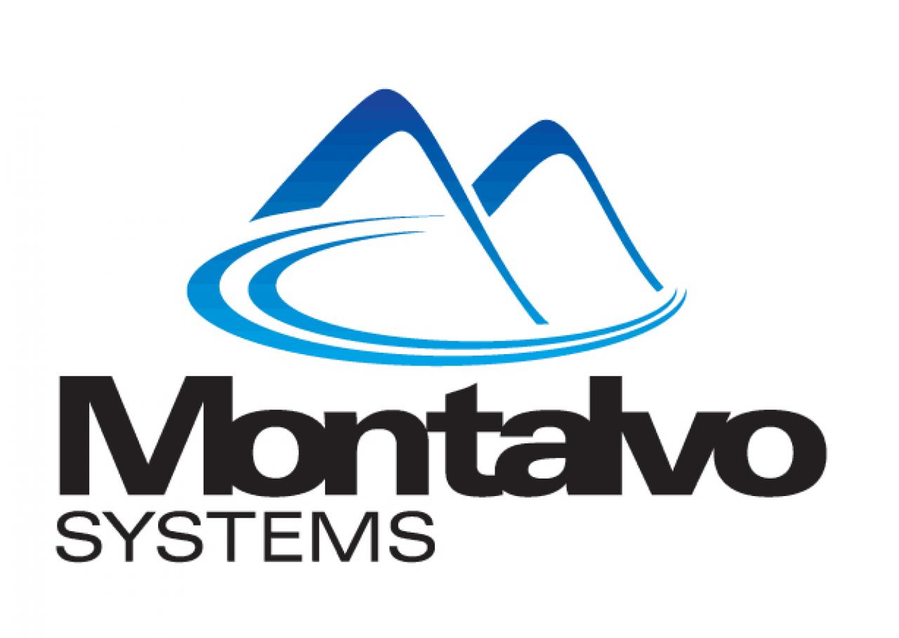 [16/02/2008] Montalvo: Kann der Neuling den gestandenen Größen - Intel und AMD - das Wasser reichen? (Bild: Montalvosystems.com)
