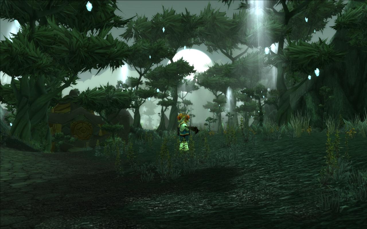 [01/02/2008] WoW Addon 1: The Burning Crusade (5)