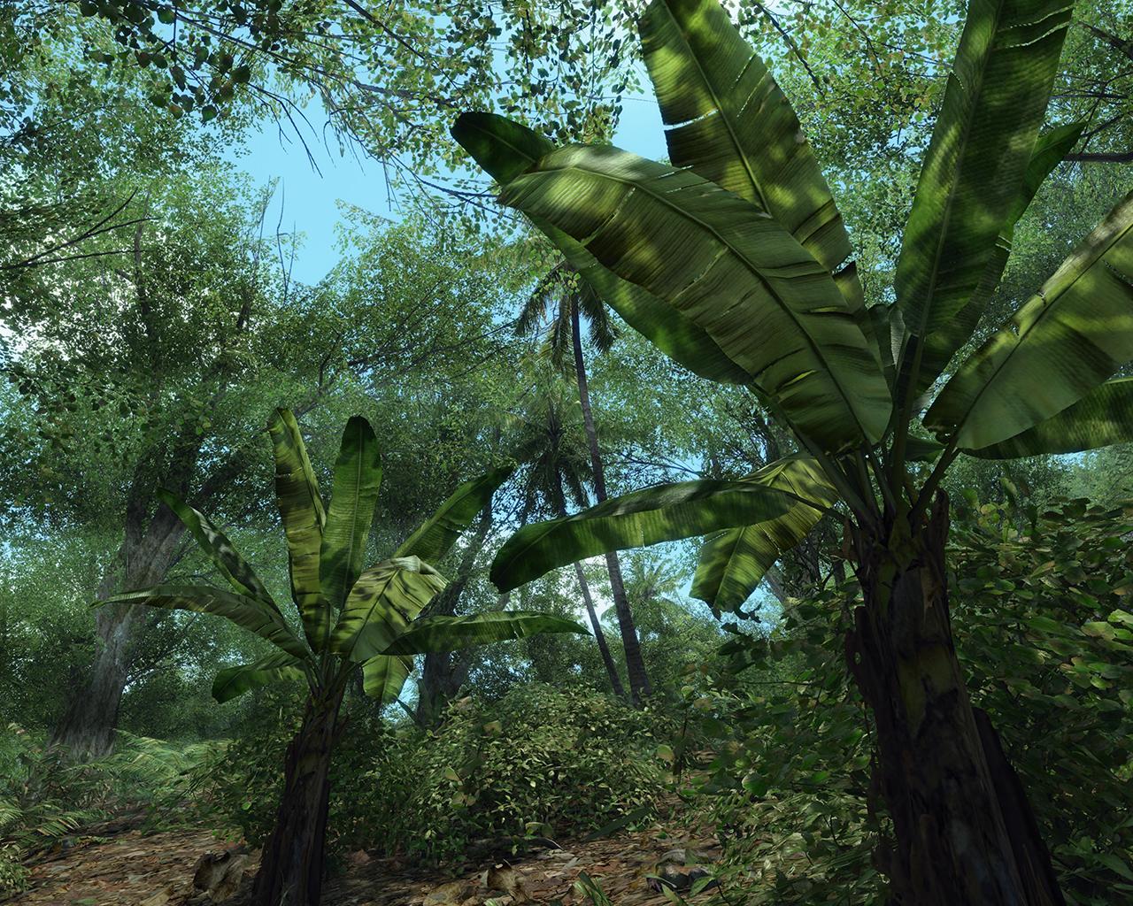 [30/03/2008] Crysis 5120x4096, all high, dx9, resized (Bild: 