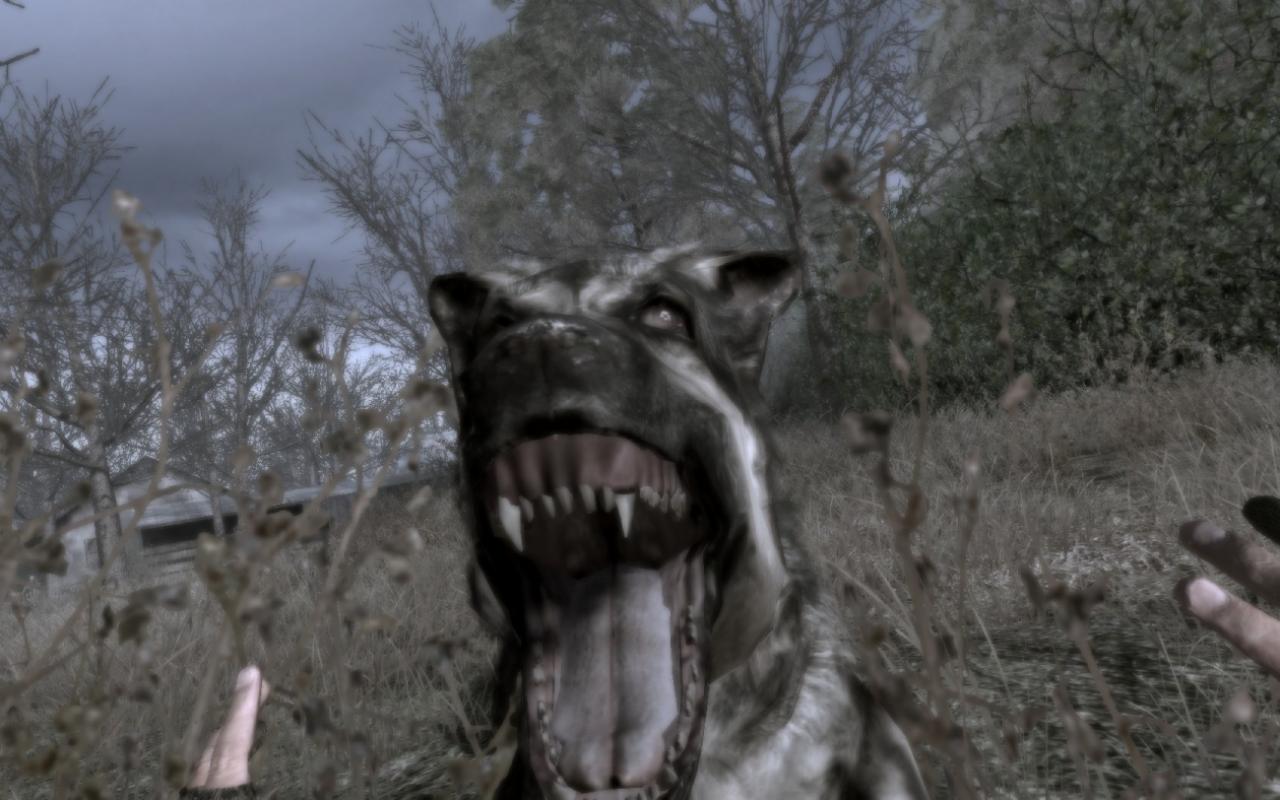 [31/03/2008] Call of Duty 4, 1680x1050 resized / Max Details / 0xAA 16xAF (Bild: 