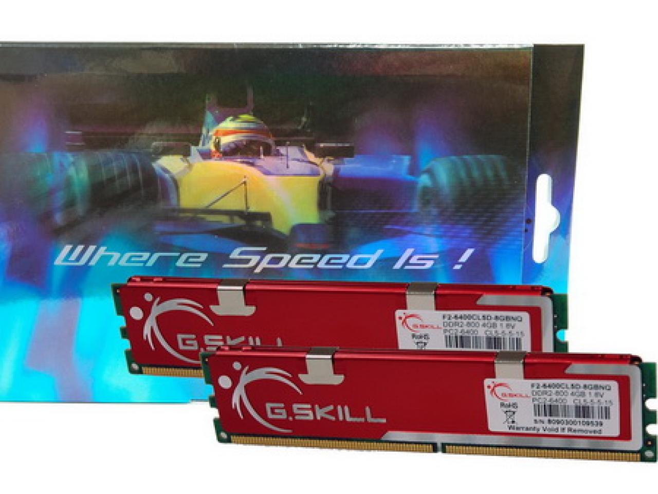[23/03/2008] 8-GiByte-Kit von G-Skill im Format DDR2-800