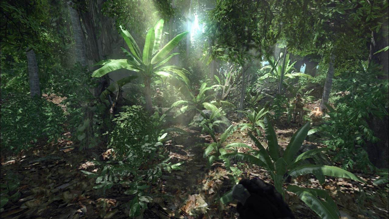[07/04/2008] 2007: Crysis