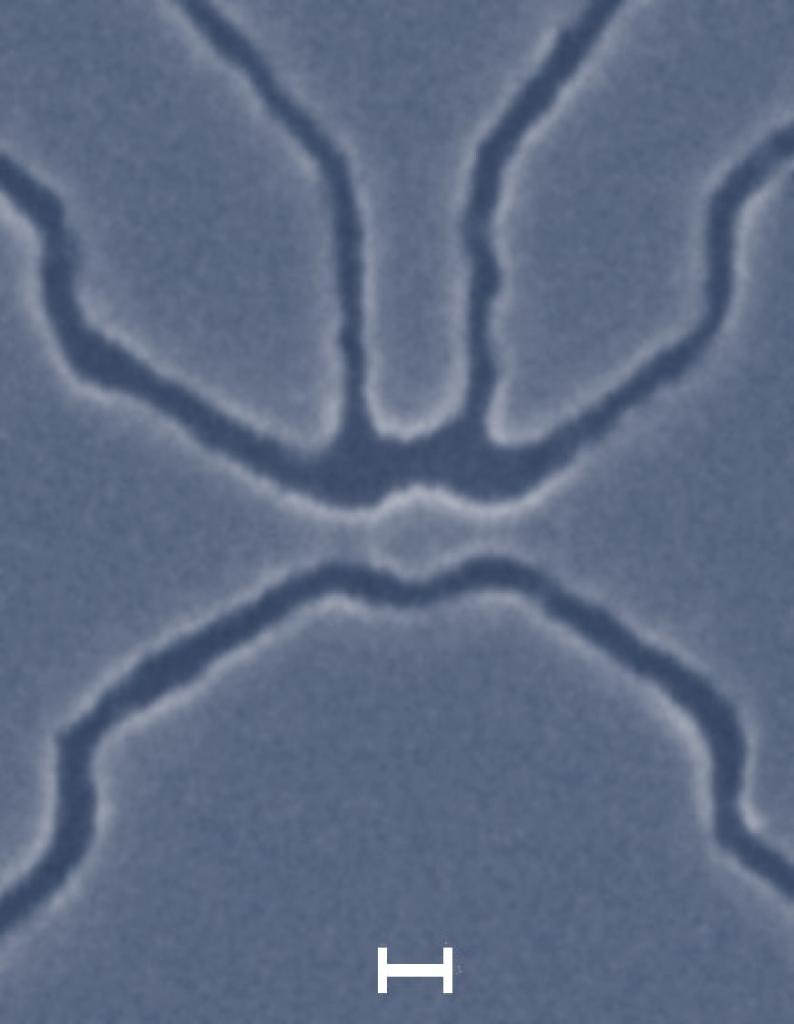 [21/04/2008] Elektronenmikroskop-Aufnahme des 1nm-Kohlenstoff-Transistor. (Bild: Mesoscopic Physics Group der Universität Manchester)