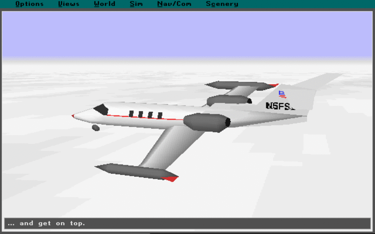 [04/05/2008] 1994: Flight Simulator 5.0 (Neue Auflage des Klassikers.)
