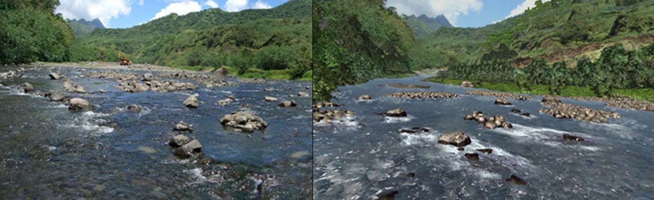 [31/05/2008] Real life versus Crysis by Crytek itself.