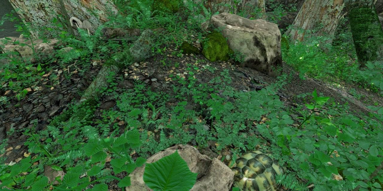 [17/06/2008] Texturen für Wälder in Crysis. Quelle: Crymod-Forum
