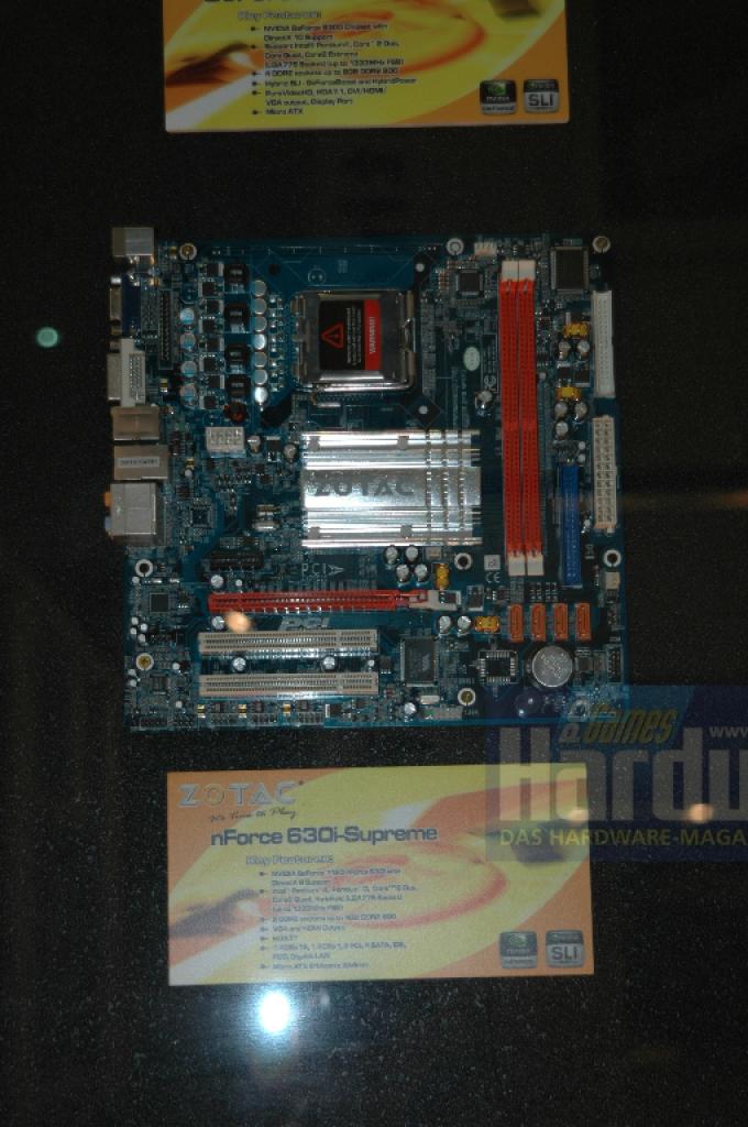 [02/06/2008] Zotac