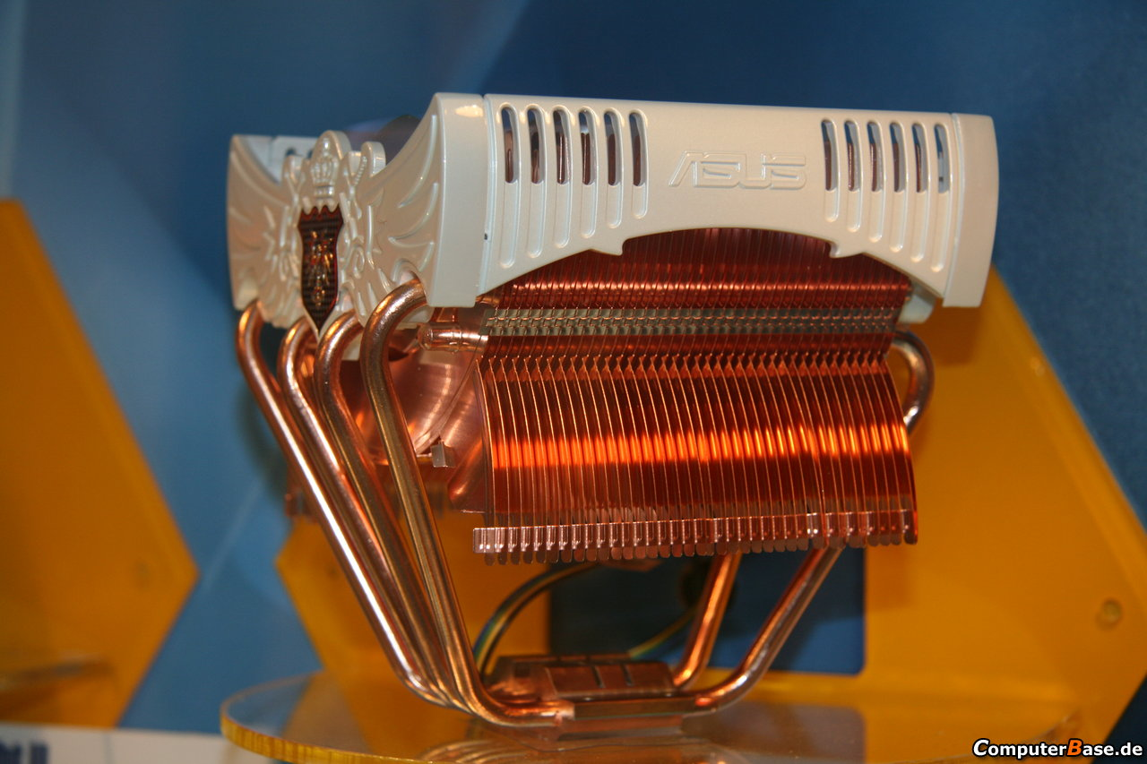 [06/06/2008] Asus Royal Knight: Schrägansicht (Bild: CB)