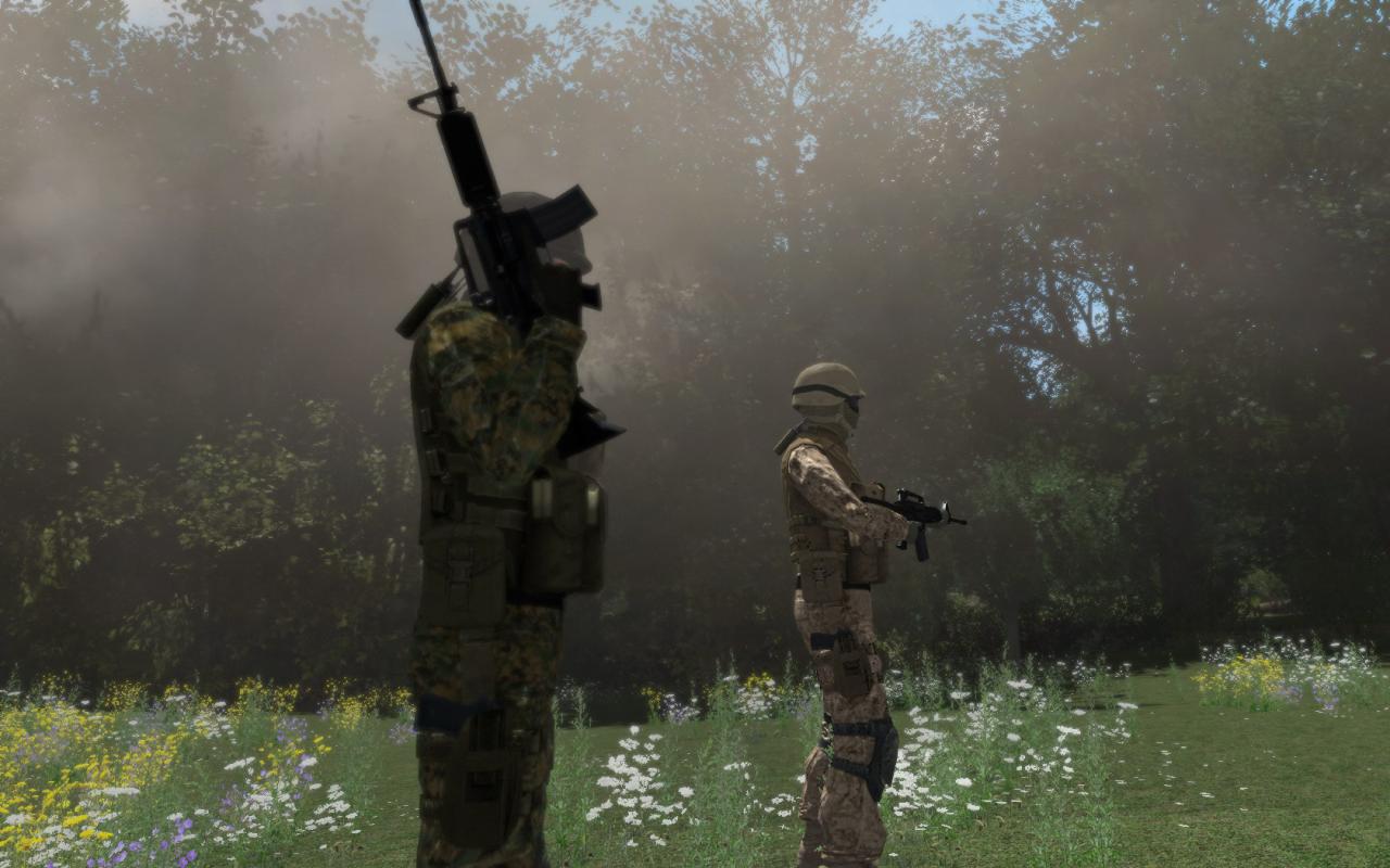 [26/07/2008] Armed Assault 1: Bilder von Jay.Gee