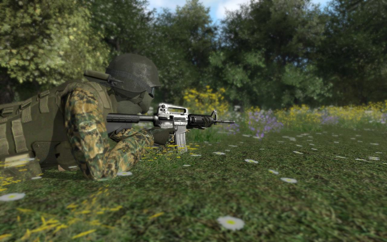 [26/07/2008] Armed Assault 1: Bilder von Jay.Gee