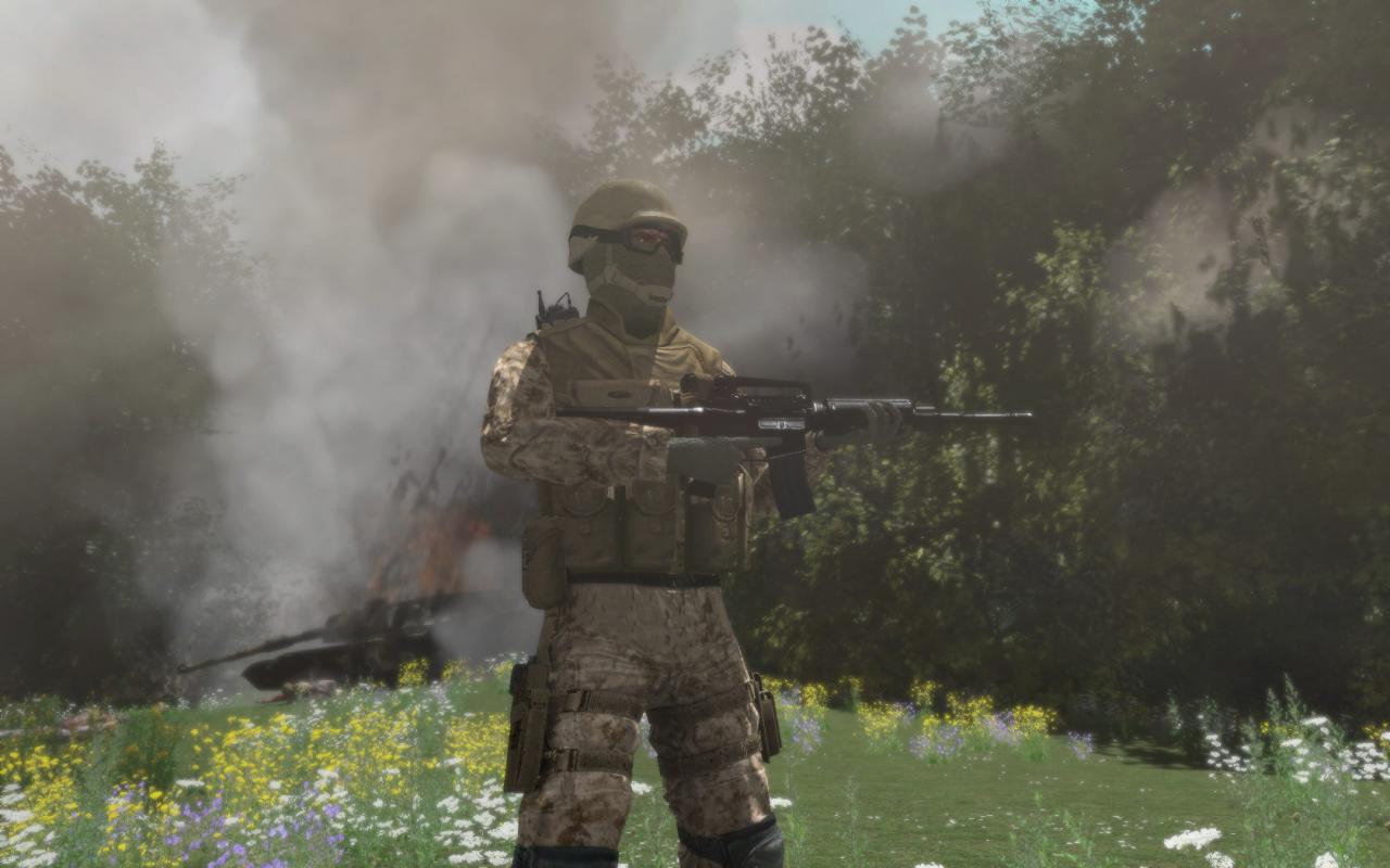[26/07/2008] Armed Assault 1: Bilder von Jay.Gee