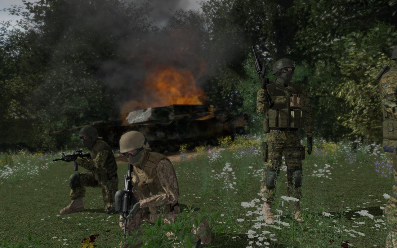 [26/07/2008] Armed Assault 1: Bilder von Jay.Gee