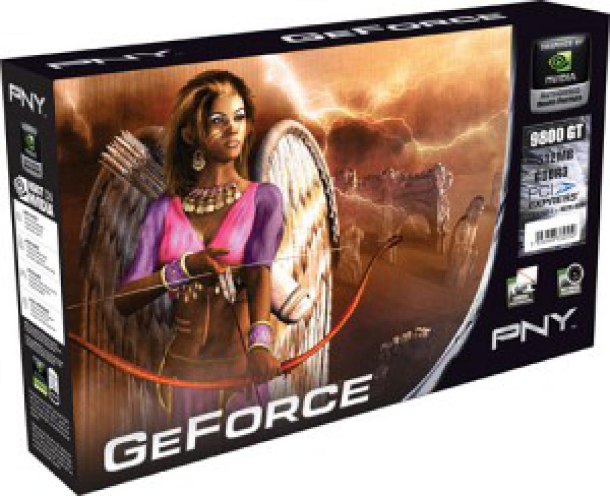 [31/07/2008] Die Geforce 9800 GT von PNY.