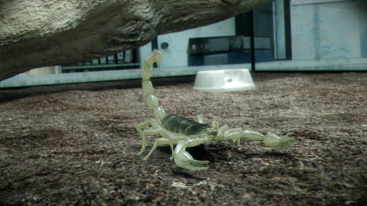 [31/07/2008] Ati-Techdemos: Radeon HD 4000: Scorpion mit Voxel Raytracing (Cinema 2.0)
