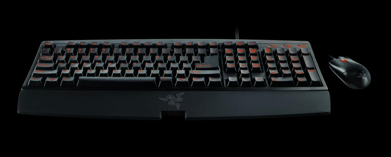[01/07/2008] Razer Aurantia