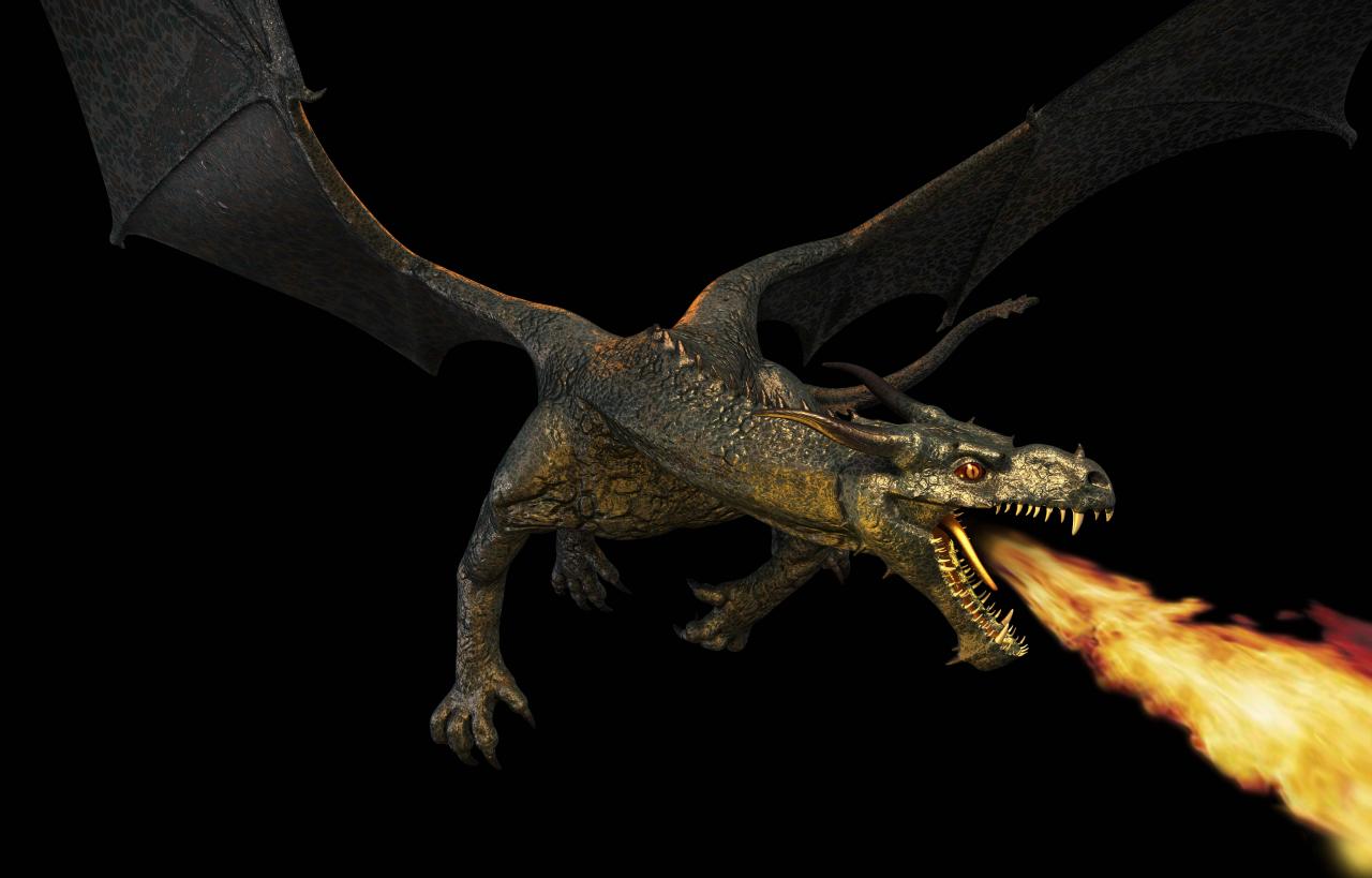 [25/07/2008] Der Drache von Zotac hört nun auf den Namen 