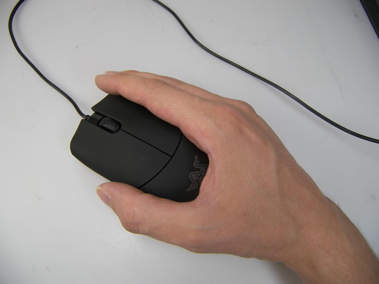 [01/08/2008] Razer Salmosa