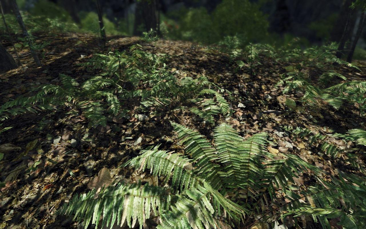 [15/08/2008] Crysis-Texturmod von Rygel