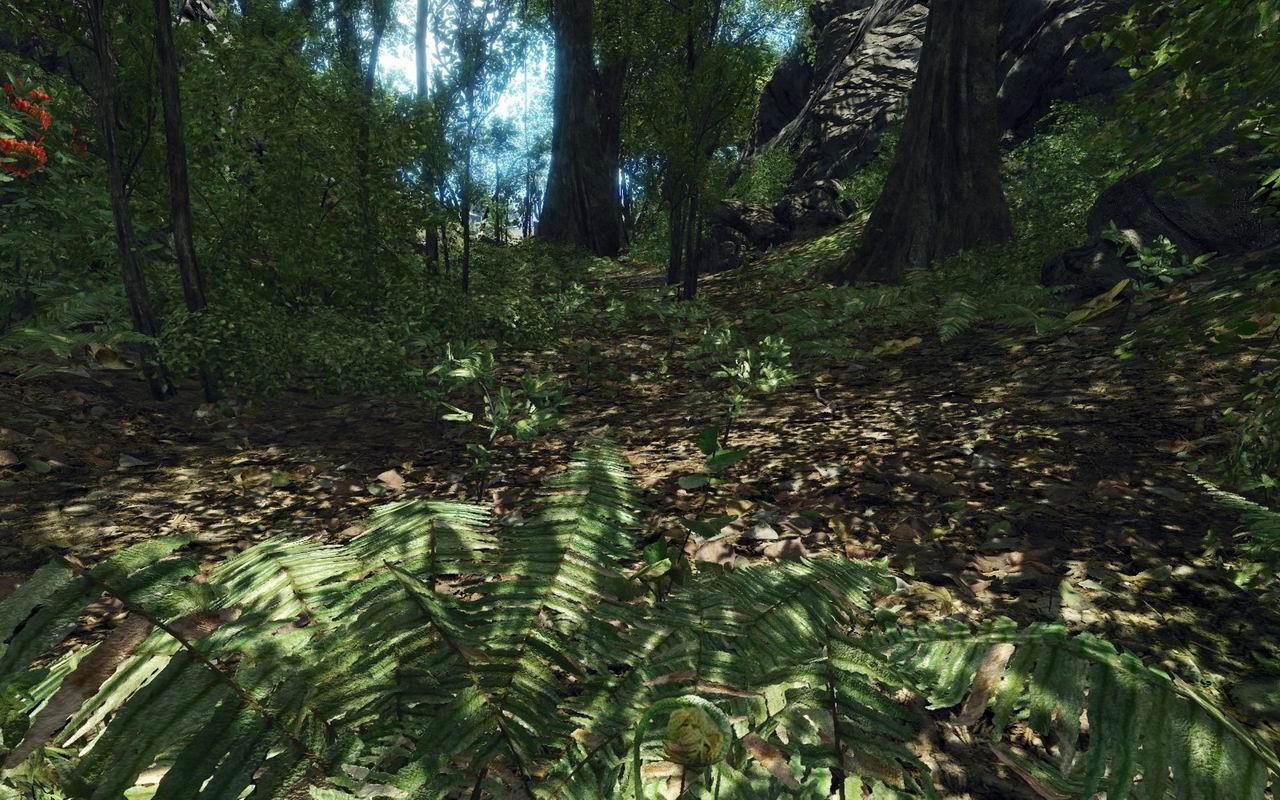 [13/08/2008] Crysis-Texturmod von Rygel