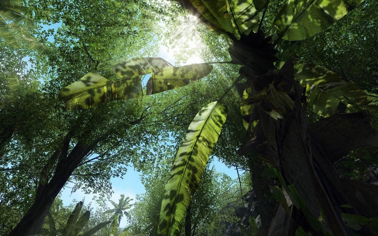 [13/08/2008] Crysis-Texturmod von Rygel