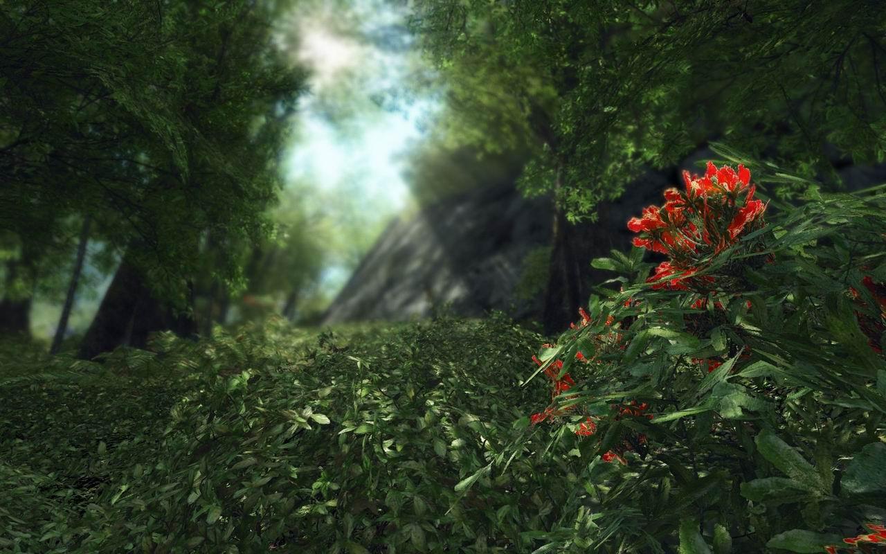 [13/08/2008] Crysis-Texturmod von Rygel